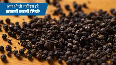 कहीं आप तो नहीं खा रहे नकली काली मिर्च? जानें इसके नुकसान और पहचान का तरीका